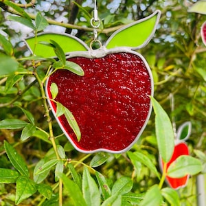 APPLE Sun Catcher