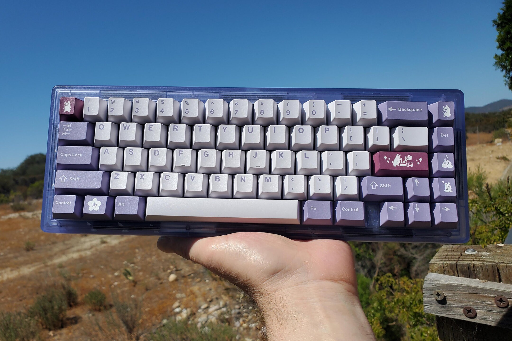 Mechanical Keyboards Explained All You Need To Know About, 42 OFF