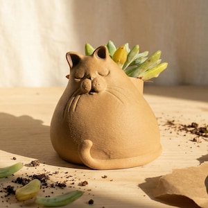 Sleeping Cat Planter | Cute Succulent Pot | Unique Gift for Cat Lovers & Home Decor Fans