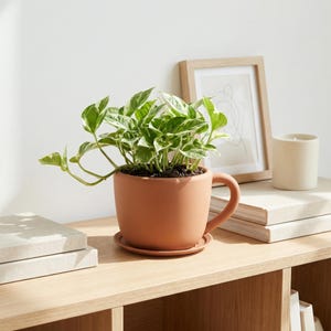 May include: A terracotta-colored ceramic planter shaped like a mug, holding a green and white plant. The planter sits on a matching saucer. The plant has vibrant green leaves with white variegation. The scene is set on a wooden shelf with a framed picture and a candle.