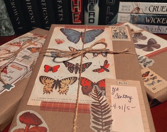Discounted Blind Date with a Book - Mystery Box for Readers - Booktok