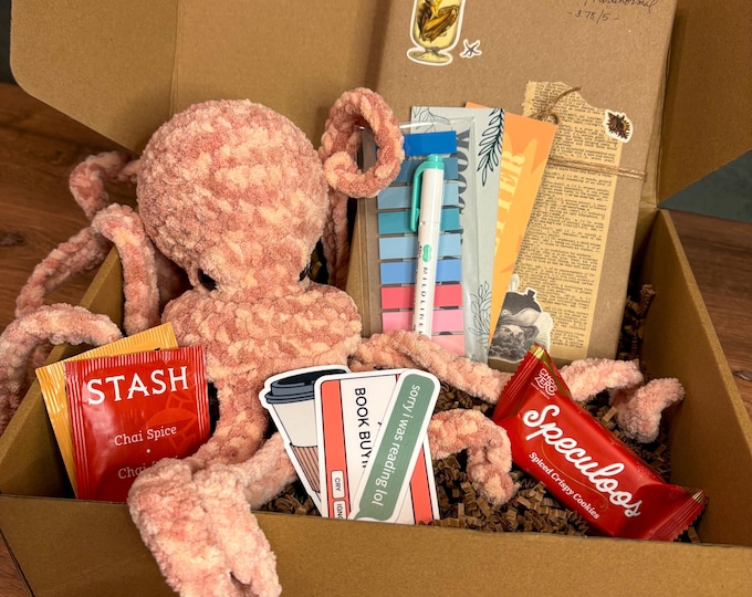 Blind Date with a Book and Plushie, Mystery Gift Box for Readers, Amigurumi Plushie