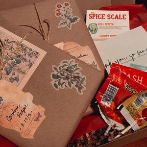 Spicy Blind Date with a Book Pick Your Spice Level Mystery Book Vintage Wrapping Bookish Gift image 2