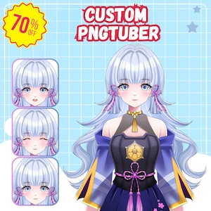 Custom Pngtuber Character Design for Twitch, YouTube & Facebook, Pngtuber Design, Avatar, Vtuber Model | Live2D Commission Model for Stream