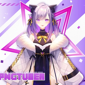 Custom PNGTUBER | Pngtuber Commission | Pngtuber Character| Pngtuber | Pngtuber Design | Vtuber Model | Vtuber | Veadotube