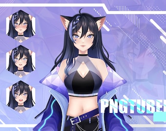 Custom PNGTUBER | Pngtuber Commission | pngtuber Model | Pngtuber | PNGtuber for Streamer | pngtuber Design | vtuber model | veadotube