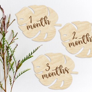 Marcadores y discos de madera con hojas de Monstera para hitos mensuales de bebés recién nacidos: momentos importantes del bebé / regalo para baby shower