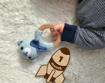 Marcadores y discos de hitos mensuales de madera para bebés de Toy Rockets para bebés recién nacidos/regalo de Baby Shower