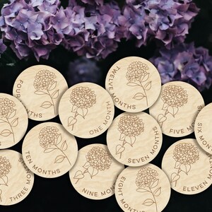 Marcadores y discos de madera con hortensias para hitos mensuales de bebés recién nacidos o regalo para baby shower.