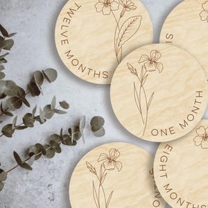Febrero - Flores de iris y prímula para el mes de nacimiento, marcadores y discos de madera para hitos mensuales de bebés recién nacidos/regalo para baby shower