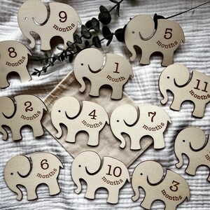 Marcadores y discos de madera con forma de elefante para hitos mensuales de bebés recién nacidos: para momentos importantes del bebé o como regalo para baby shower