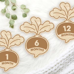 Marcadores y discos de madera para hitos mensuales de bebés recién nacidos o como regalo para baby shower