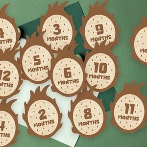 Marcadores y discos de madera con forma de fruta del dragón para hitos mensuales de bebés recién nacidos: momentos importantes del bebé / regalo para baby shower