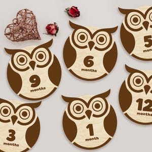 Marcadores y discos de madera con forma de búho para hitos mensuales de bebés recién nacidos: momentos importantes del bebé / regalo para baby shower