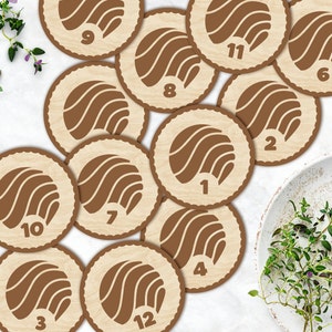 Marcadores y discos de madera para hitos mensuales de bebés de sushi para recién nacidos/regalo para baby shower
