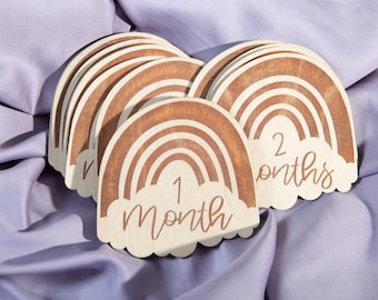 Rainbow Baby Milestone Markers: Wooden Photo Prop Discs