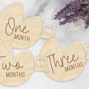 Marcadores y discos de madera con forma de galleta de la suerte para hitos mensuales de bebés recién nacidos: momentos importantes del bebé / regalo para baby shower