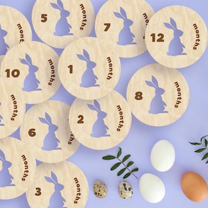 Marcadores y discos de madera recortables con forma de conejo para hitos mensuales de bebés recién nacidos: para momentos importantes del bebé o como regalo para baby shower