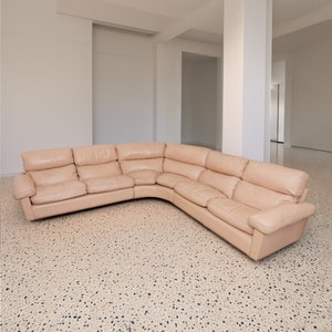 Vintage modular leather sofa in Blush by Tito Agnoli for Poltrona Frau - Model Petronio 1970s Mid Century Design