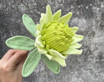 Crochet Protea Flower, Green Heavy Craft Protea Cynaroides, Handmade Yarn Blossom with Leaves