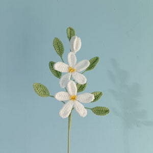 Peut inclure: Une fleur blanche en crochet avec des centres jaunes sur une tige verte avec des feuilles. La fleur est sur un fond bleu clair.