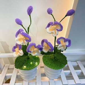 Finished Crochet Phalaenopsis Potted Knitting Phalaenopsis with Leaves and Bud Crochet Blossom Crochet Potted Flower Home Decor Ornament