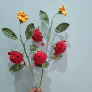 May include: A crocheted plant with red strawberries and yellow flowers. The strawberries have happy faces.