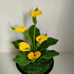 Crochet Potted Calla Lily Knitting Mini Zantedeschia aethiopica Yarn Calla Lily Crochet Blossom Potted Flower Home Decor Gift for Friends