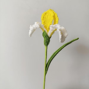 May include: A handmade crochet iris flower with a yellow center and white petals. The flower has a green stem and leaf. The craftwork is set against a plain white background.