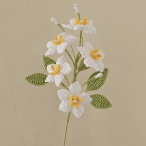 Crochê Jasmine Tricô Yuling Jasmine Bouquet Crochê Molly Trachelospermum Jasminoides Crochê Blossom Flor Artificial Presente para Amigos
