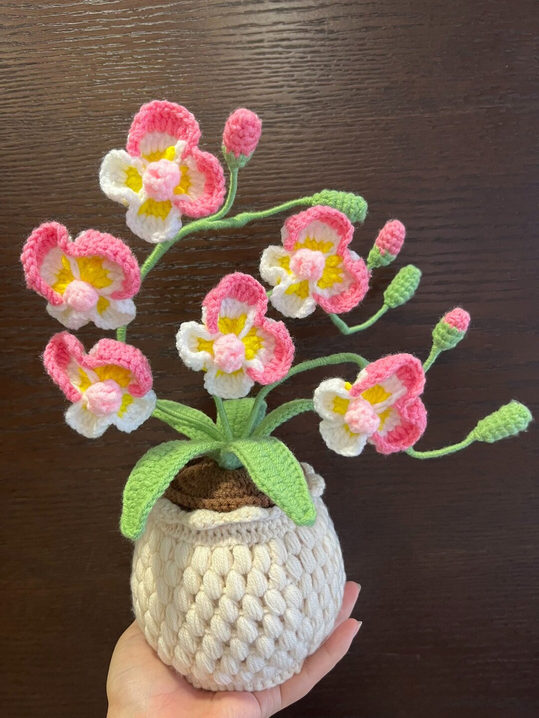 完成したかぎ針編みの胡蝶蘭の鉢植え、葉とつぼみのある編み物の胡蝶蘭