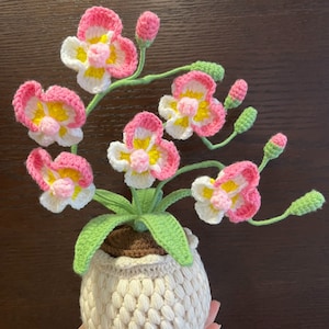 Finished Crochet Phalaenopsis Potted Knitting Phalaenopsis with Leaves and Bud Crochet Blossom Crochet Potted Flower with Vase Home Decor