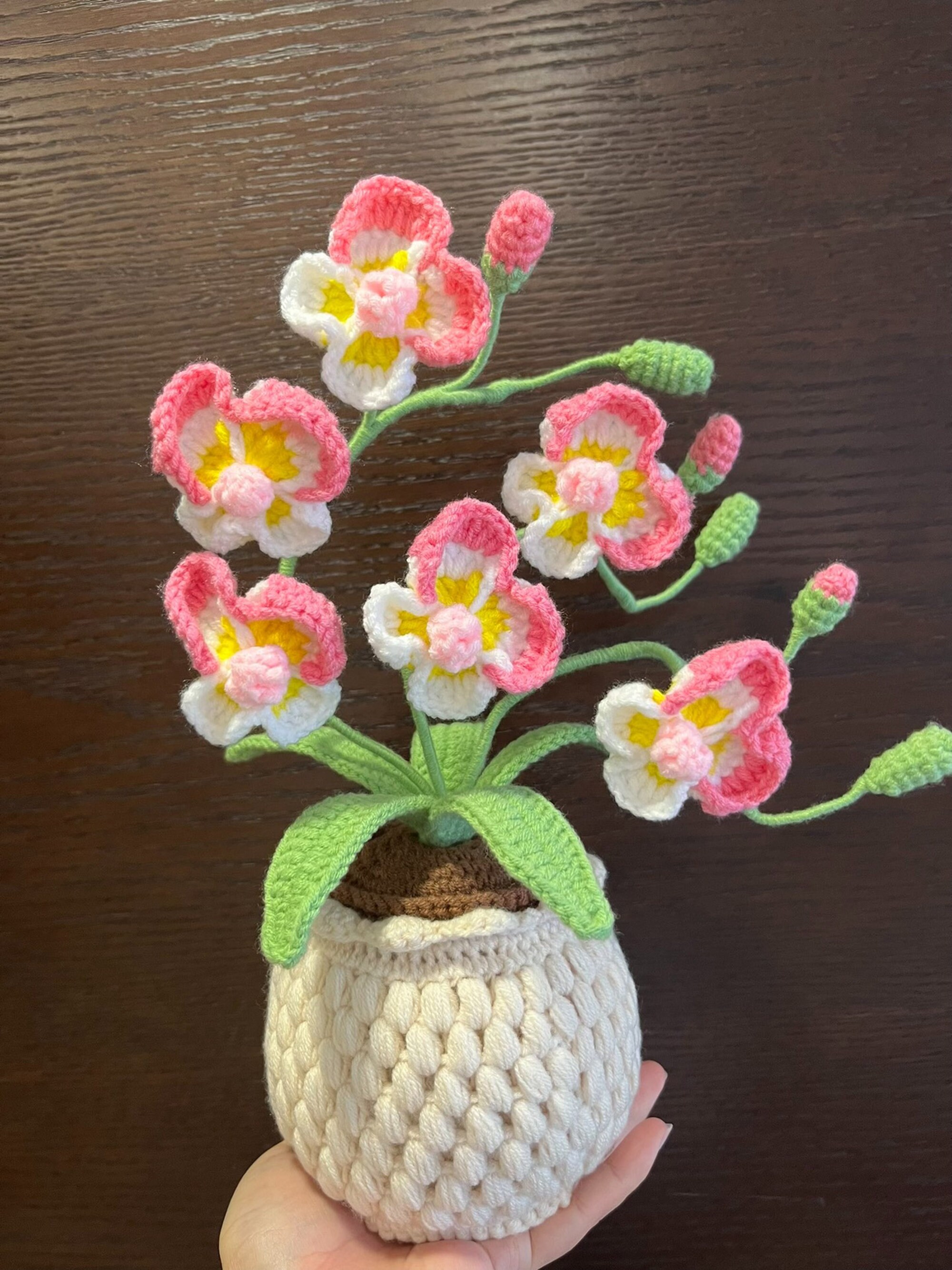 完成したかぎ針編みの胡蝶蘭の鉢植え、葉とつぼみのある編み物の胡蝶蘭