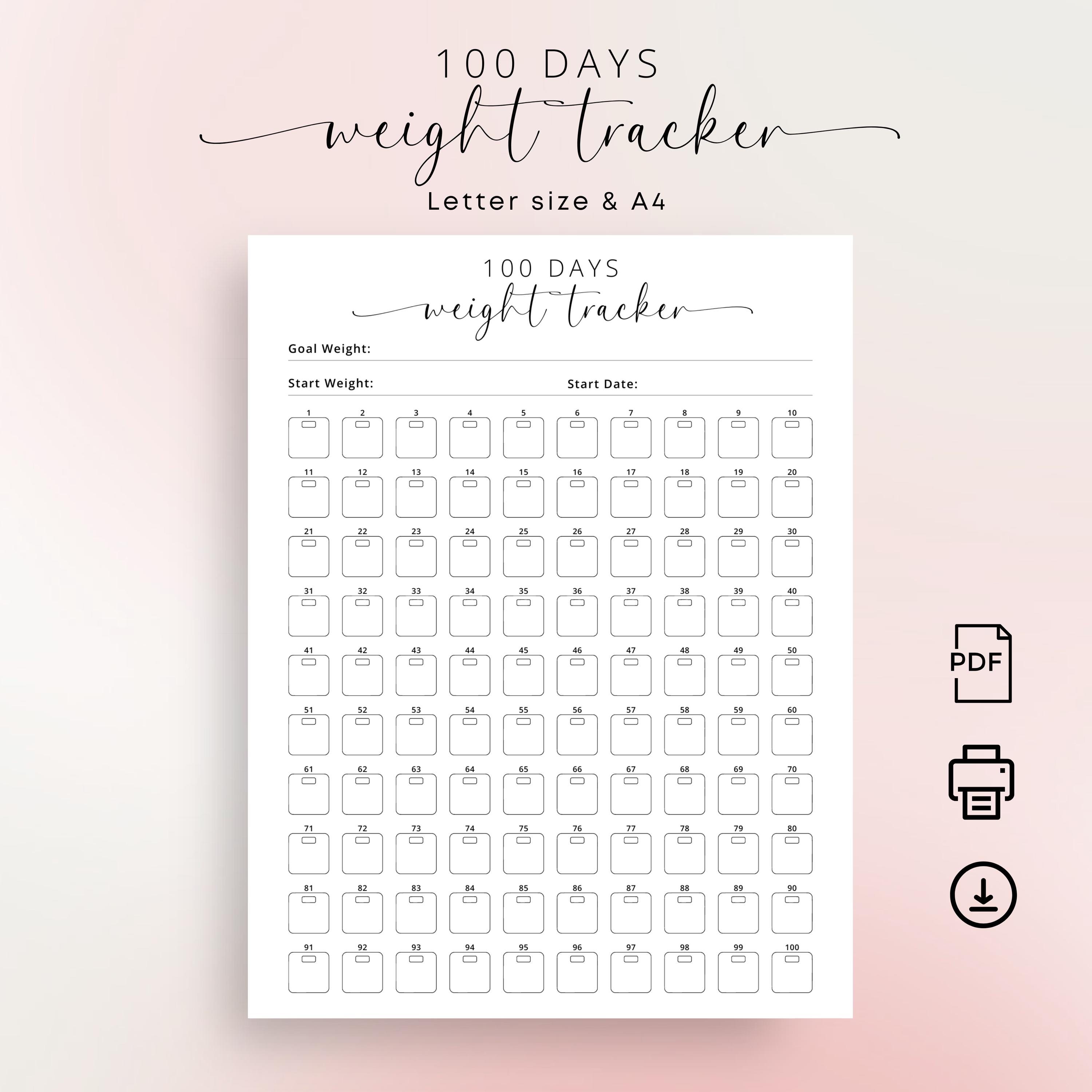 100 Days Tracker Sheet - Etsy