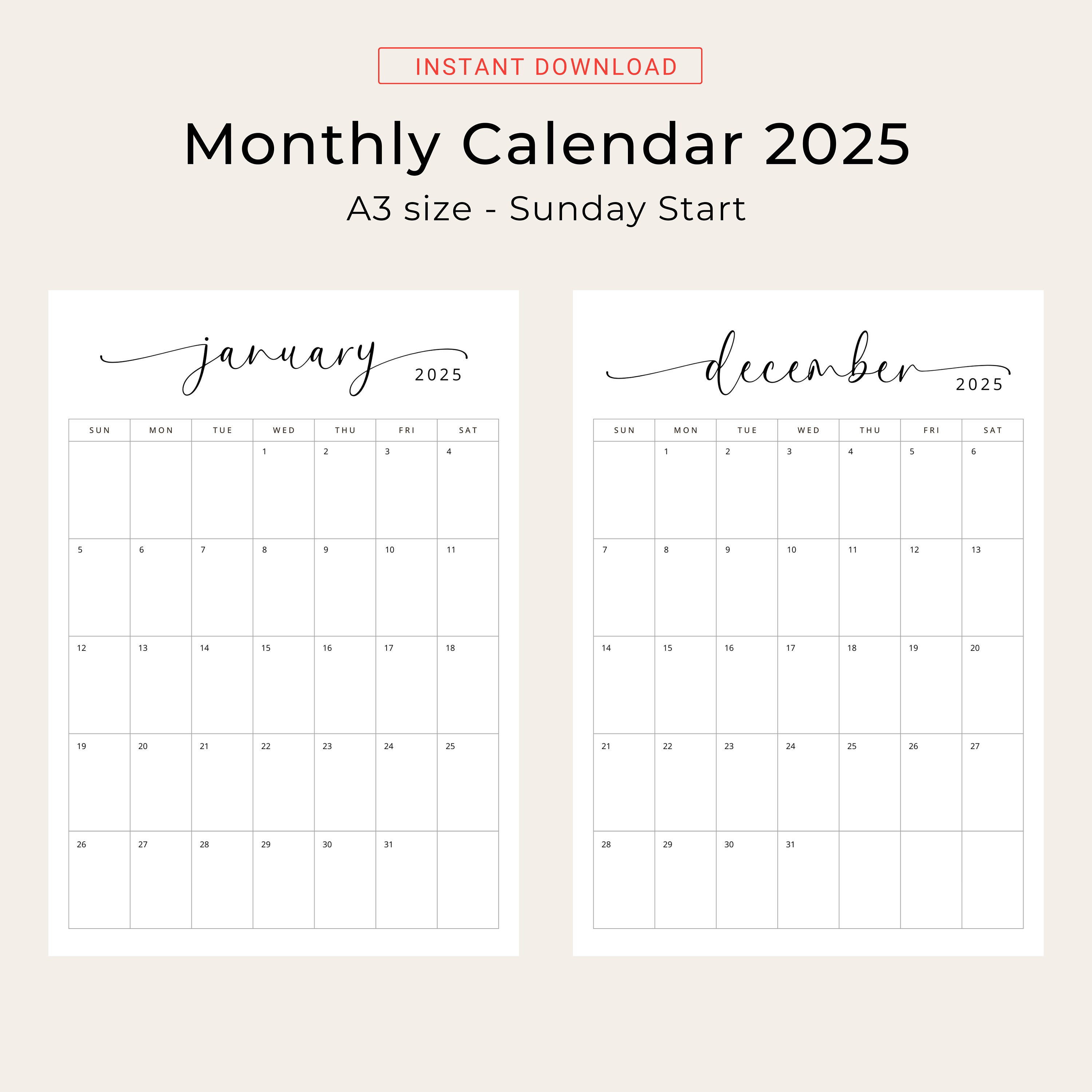 2025 Calendar A3 2025 Planner A3 Monthly Calendar Vertical 2025 ...