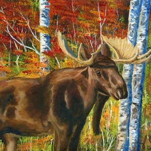 May include: An oil painting of a moose in a forest setting. The moose is brown with large antlers, standing in front of birch trees with blue and white bark. The background features colorful autumn foliage in shades of red, orange, and yellow.