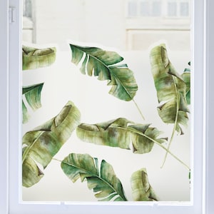 Tropical Window Film - Banana Leaves Frosted Patterned Privacy Window Border - Dizzy Duck Gift for Home Decorative Privacy Sticker Decal