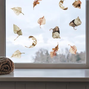 Op de afbeelding: Een verzameling raamstickers met diverse gedroogde herfstbladeren in tinten bruin, beige en gedempt groen. De stickers zijn verspreid over een glazen ruit aangebracht en tonen gedetailleerde texturen van eiken- en berkenbladeren in een patroon.