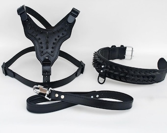 Handmade Buffalo Leather Dog Harness Walk Set: Personalized Spiked Collar