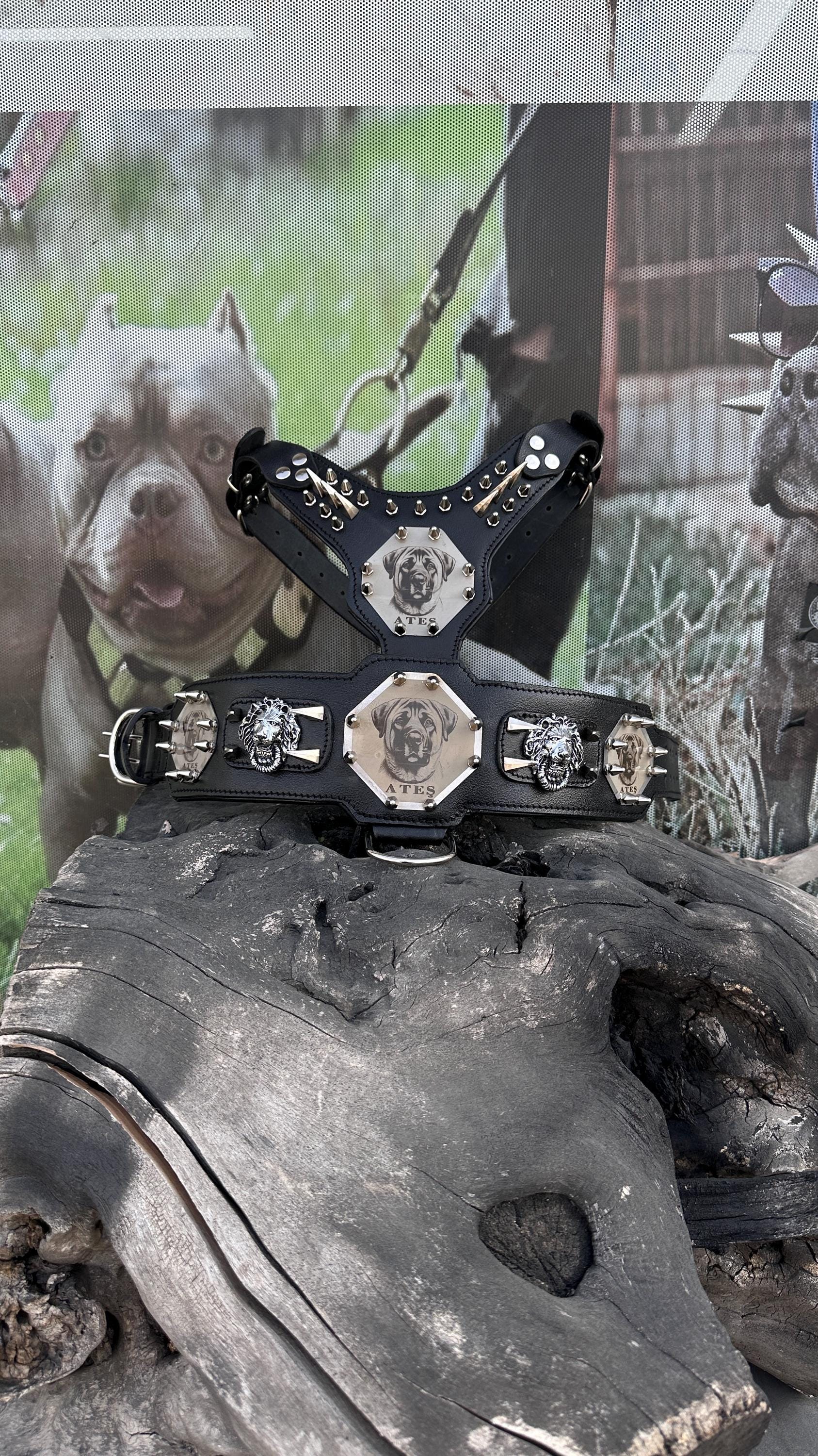 Custom Kangal Dog Collar, Harness & Leash Set - Handmade Leather
