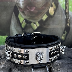 Bully Head Steel Plate Dog Collar – 2,36&#39;&#39;  Wide Handmade Leather Collar for Cane Corso, American Bully, Rottweiler, Kangal, Presa Canario