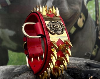 May include: A red leather dog collar with gold spikes and a gold lion head emblem. The collar is on a wooden surface.
