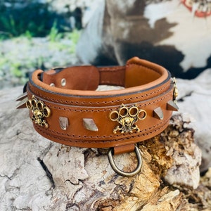 Handmade Buffalo Leather Dog Collar: Engraved Custom Name Plate