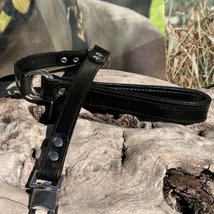 Heavy Duty Leather Dog Leash: Strong Training Lead, Large Breeds