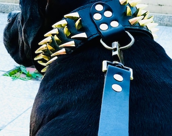 Handmade Buffalo Leather Dog Collar: Custom Engraved Name Plate - Custom Dog Collar Personalized Collars