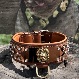 Handmade 6cm 2,35&#39;&#39; Wide Dog Collar with Bronze Steel Plate & Crystals – Luxury Leather Collar for Cane Corso, Presa Canario, Rottweiler