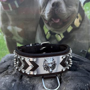 6 cm 2,36&#39;&#39; Lion Emblem Luxury Dog Collar – Handmade Steel Plate Leather Collar for Cane Corso, Rottweiler, Kangal, Presa Canario