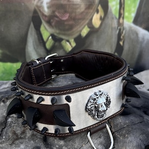 8cm Handmade Dog Collar with Lion Emblem – Stainless Steel Plate Extreme Leather Collar for Cane Corso, Rottweiler, Presa Canario, Bully,