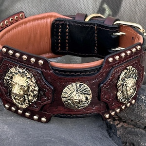Könnte beinhalten: Ein dekoratives Hundehalsband aus dunkelbraunem Leder mit goldfarbenen Löwenkopf-Akzenten und Nieten. Das Halsband hat einen schwarzen Lederabschnitt und eine beige Innenseite. Eine goldfarbene Schnalle sichert das Halsband.