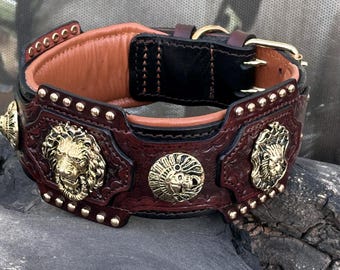 Puede incluir: Un collar decorativo para perros hecho de cuero marrón oscuro con detalles y remaches dorados con cabeza de león. El collar tiene una sección de cuero negro y un interior marrón claro. Una hebilla dorada asegura el collar.